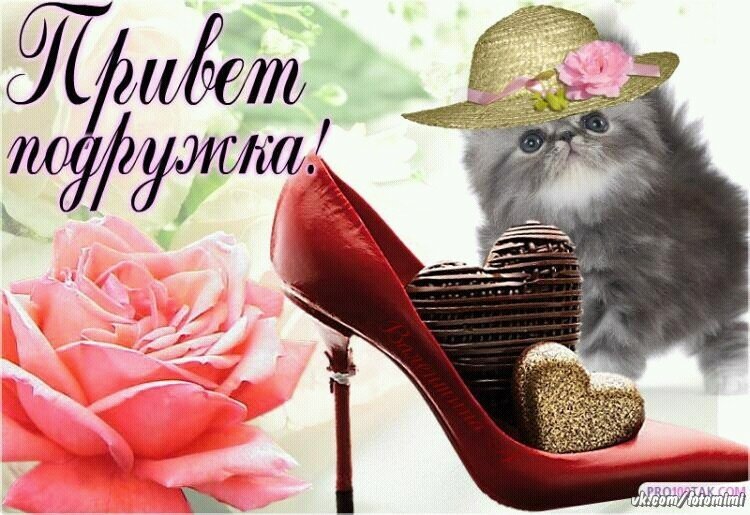 300+ прикольных картинок "здрасте"