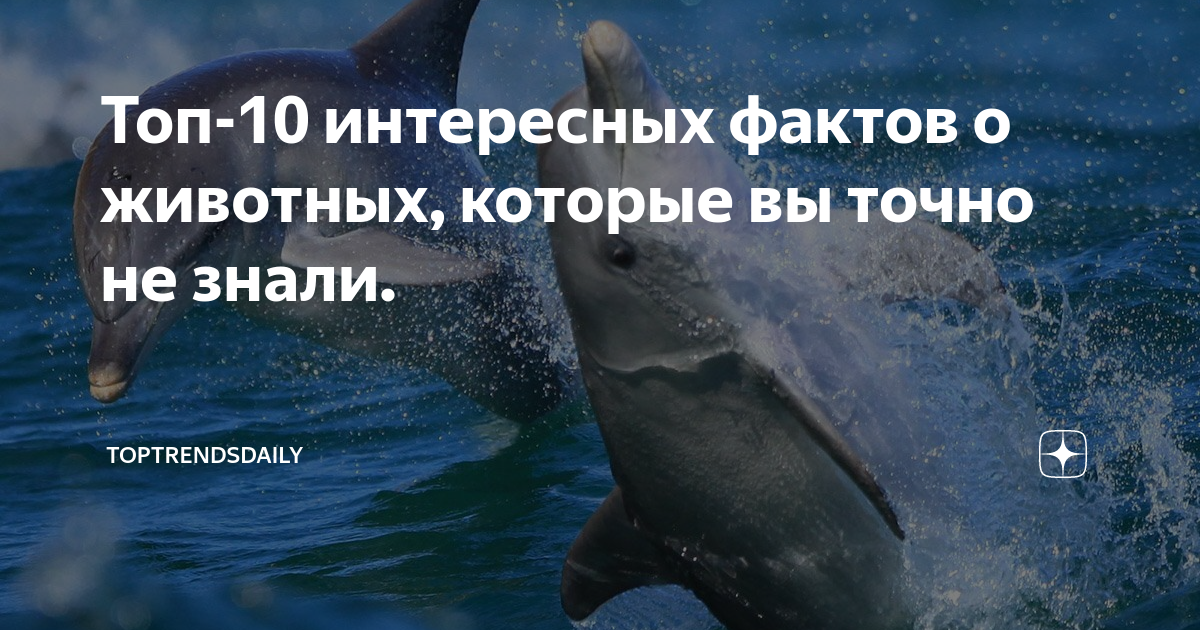 Истории о пиве