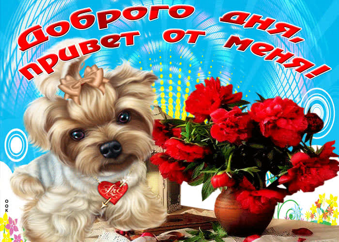 300+ прикольных картинок «здрасте»
