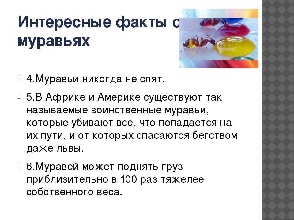 Реальные случаи экзорцизма в россии и по всему миру