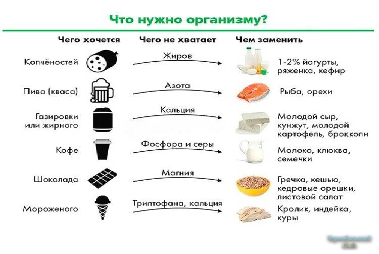 Почему хочется выпить алкоголь и чего не хватает в организме?
