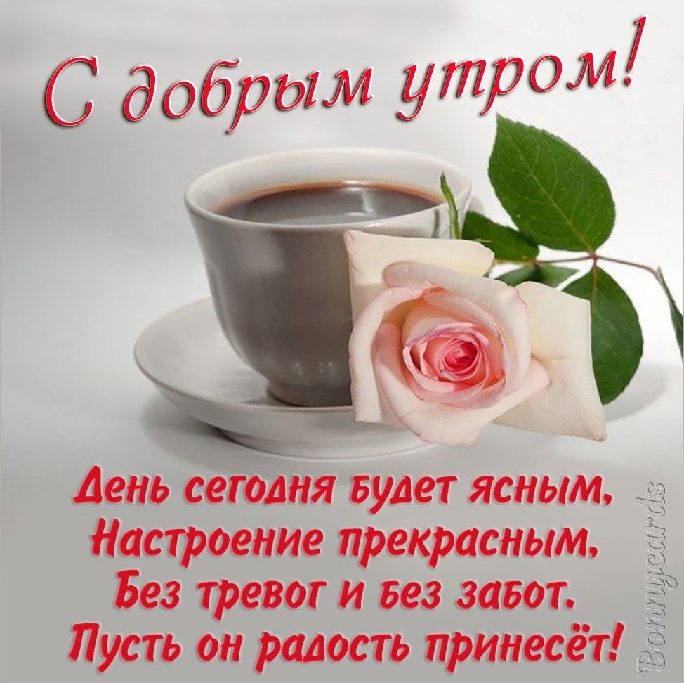 Стихи для девушки которая нравится: трогательные, короткие от известных авторов