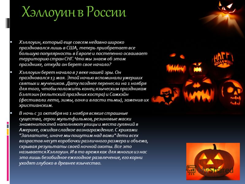 Топ 10+ самых необычных праздников в мире :: инфониак